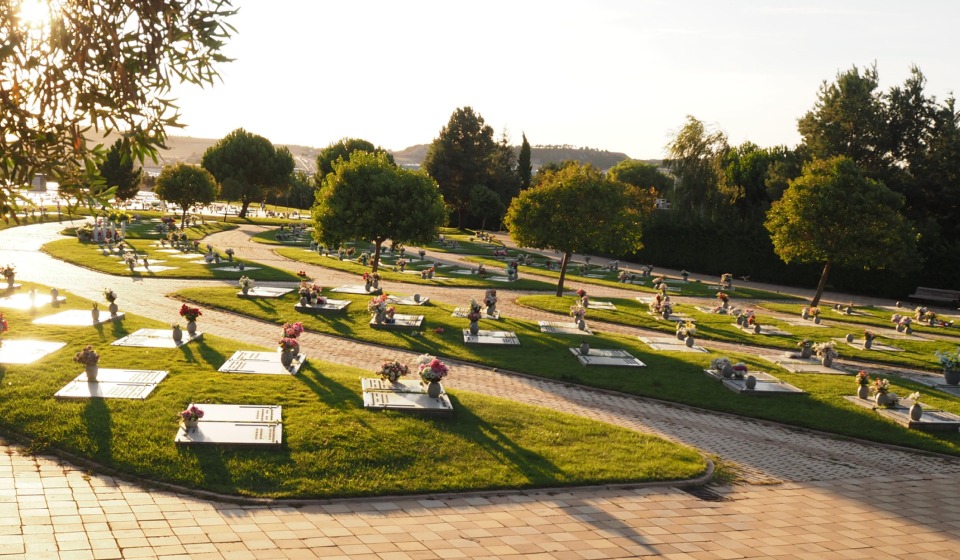 banner floristeria 428x280