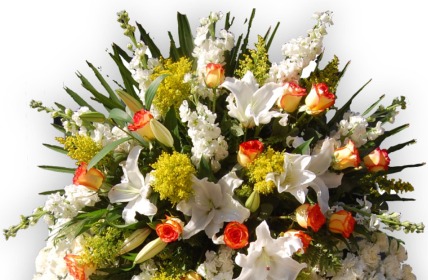 banner floristeria 428x280